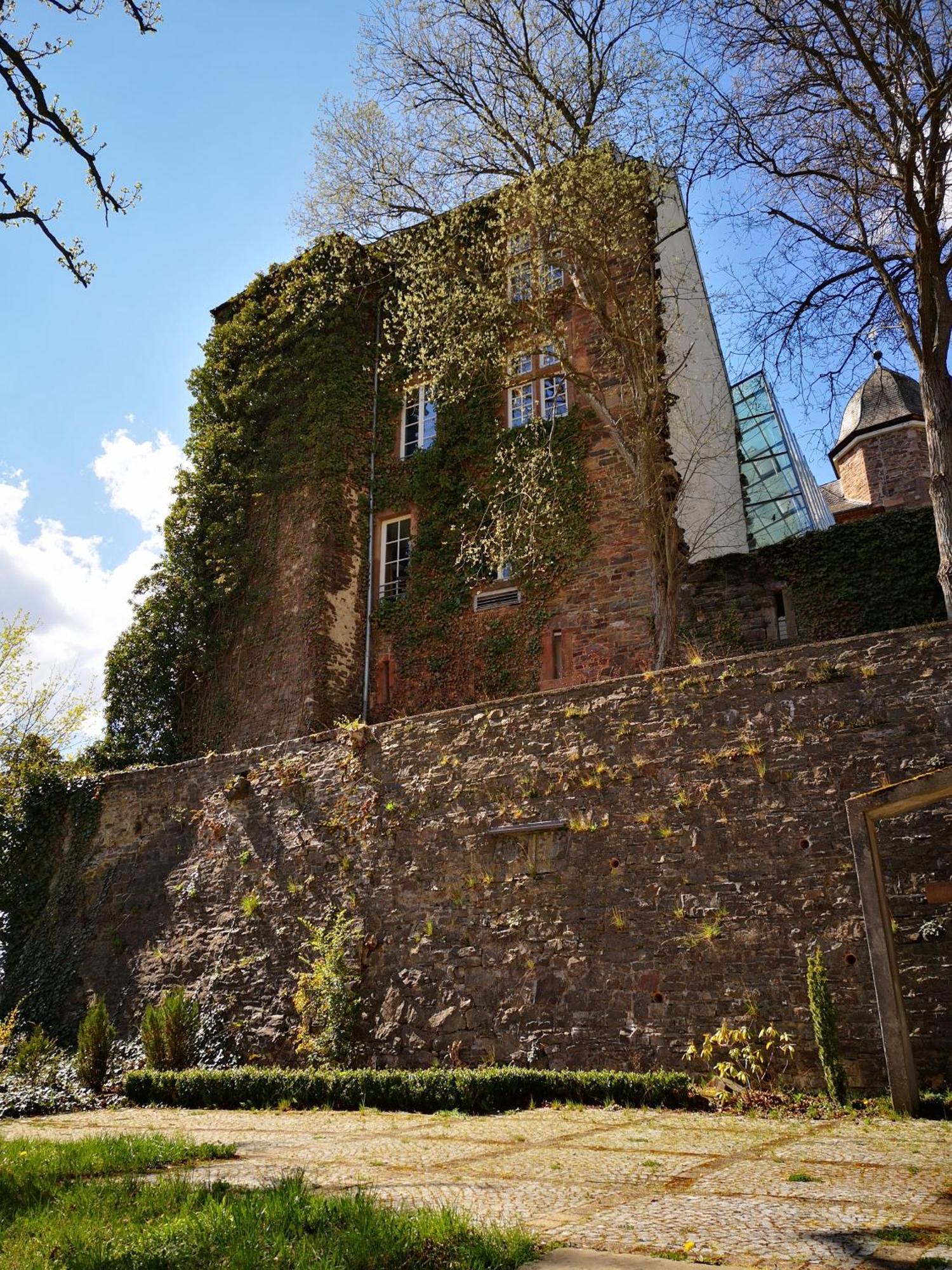 Ferienwohnung In Waldrandlage In Nationalpark Schleiden / Eifel Exterior photo