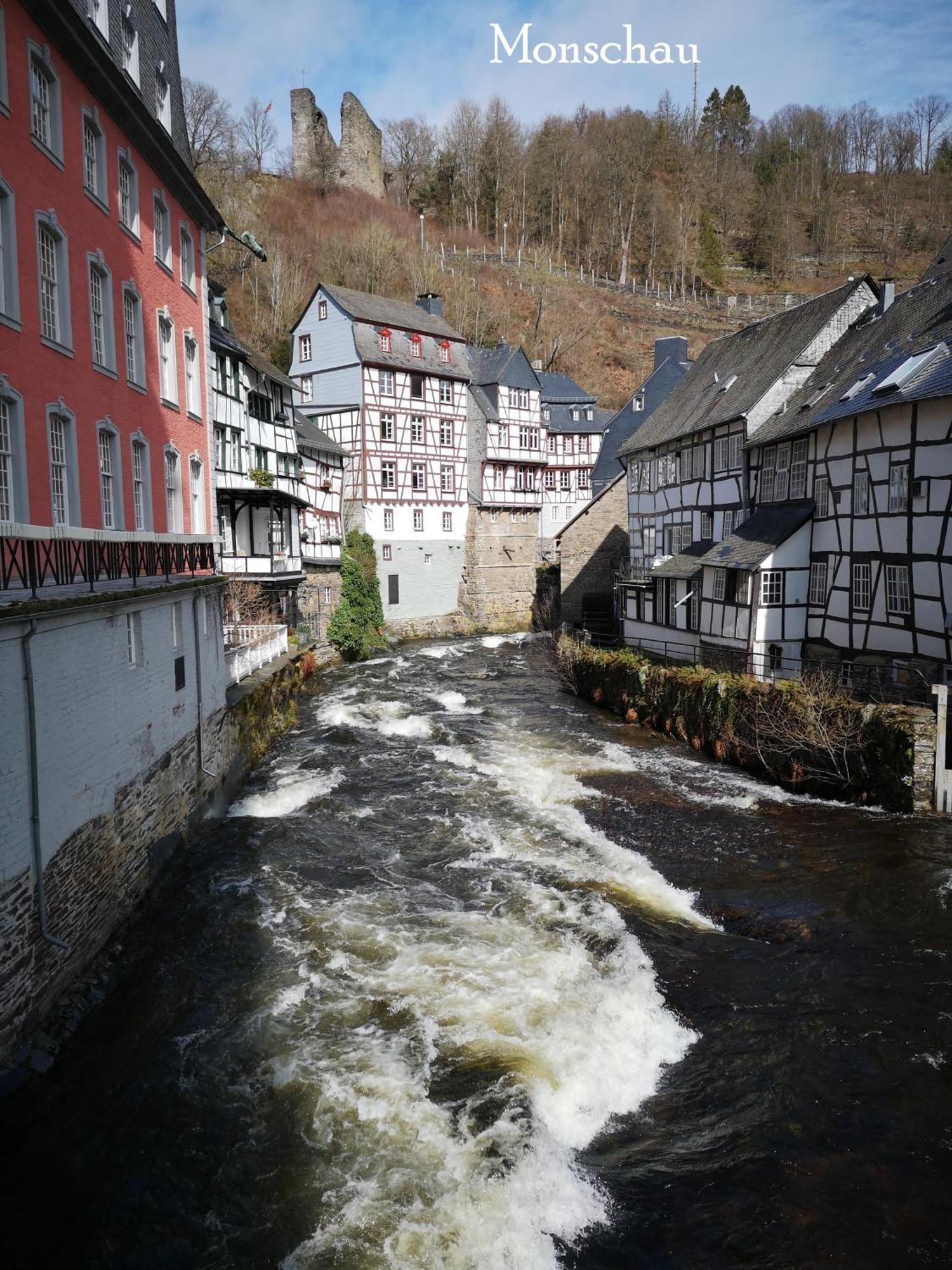 Ferienwohnung In Waldrandlage In Nationalpark Schleiden / Eifel Exterior photo