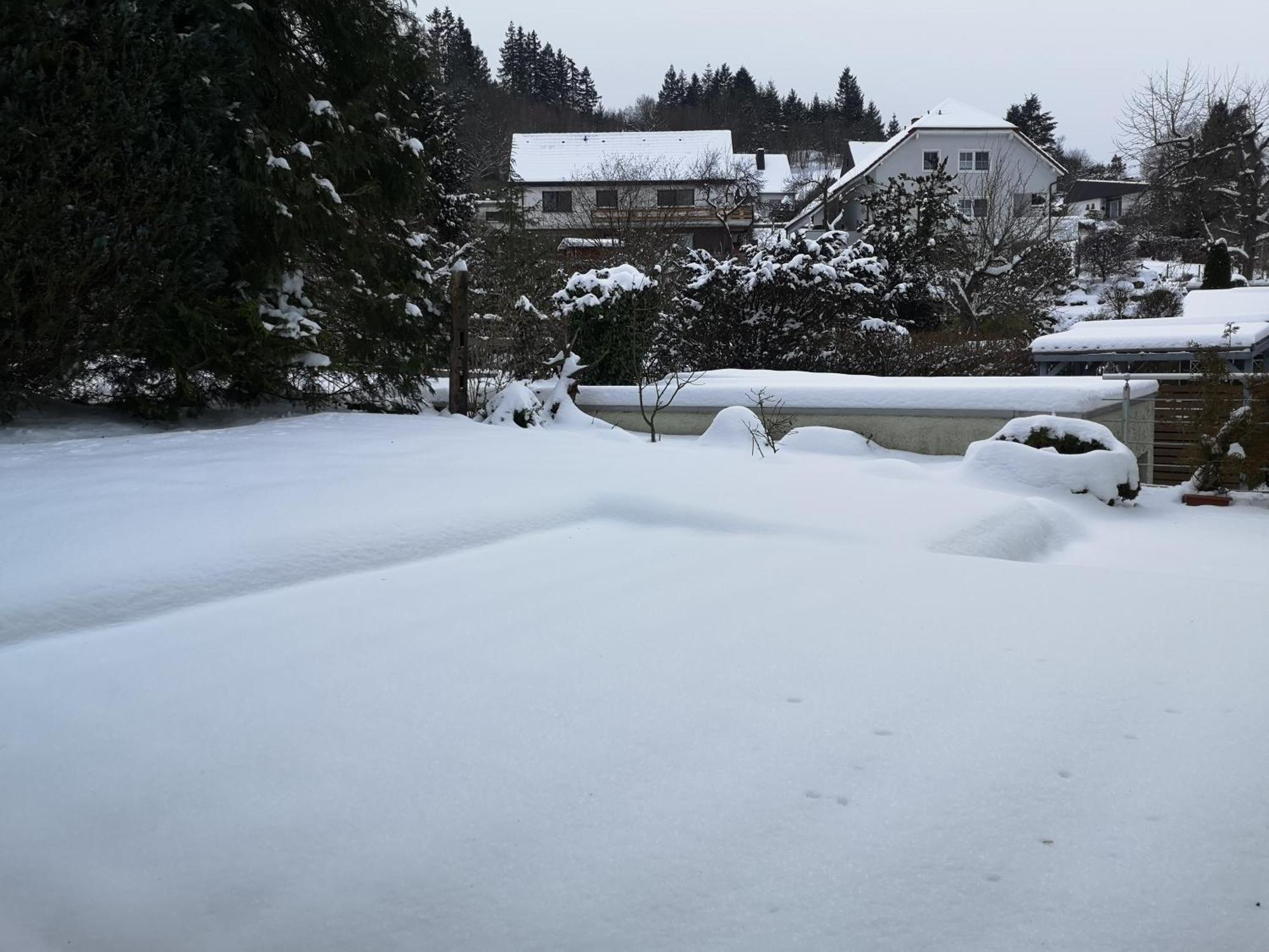 Ferienwohnung In Waldrandlage In Nationalpark Schleiden / Eifel Exterior photo