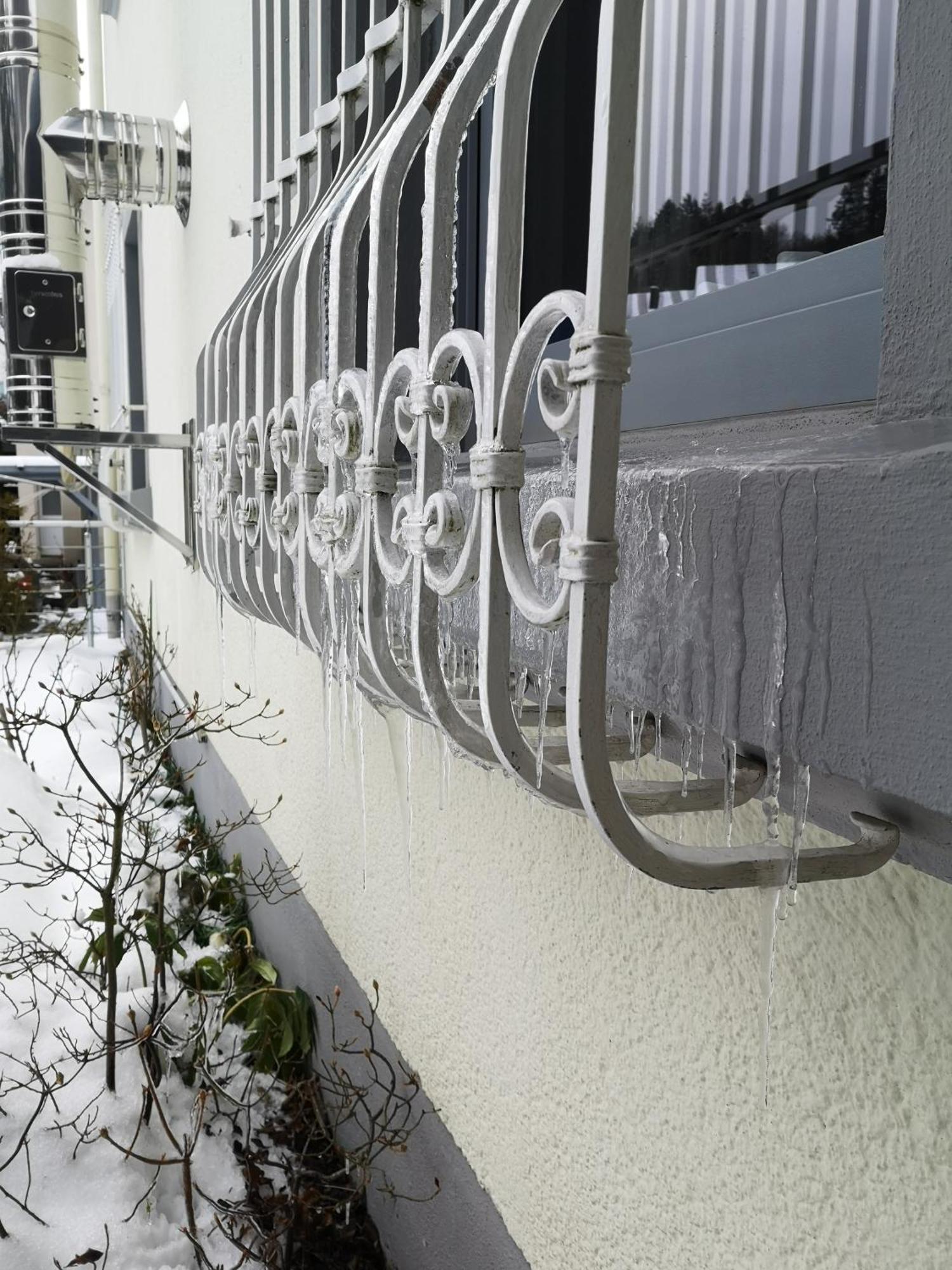 Ferienwohnung In Waldrandlage In Nationalpark Schleiden / Eifel Exterior photo