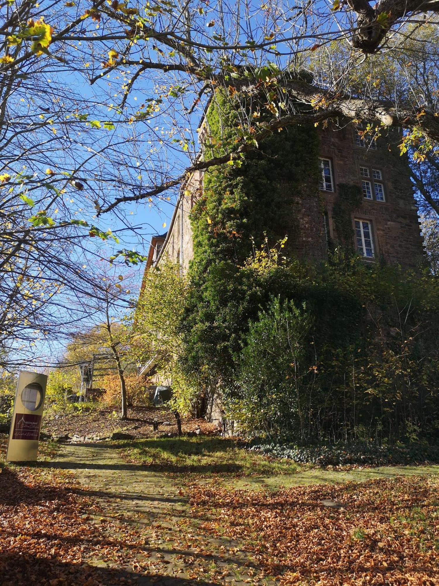 Ferienwohnung In Waldrandlage In Nationalpark Schleiden / Eifel Exterior photo