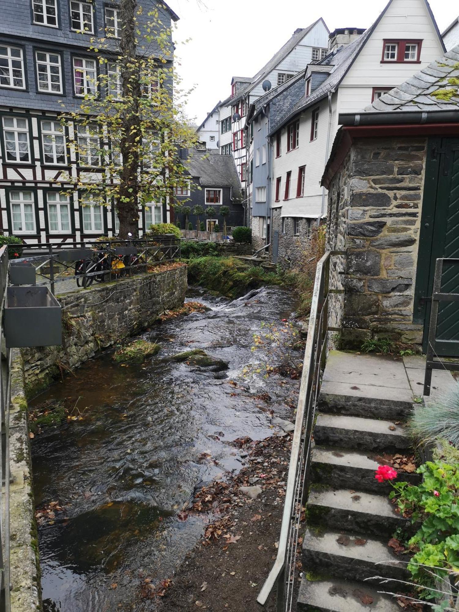 Ferienwohnung In Waldrandlage In Nationalpark Schleiden / Eifel Exterior photo