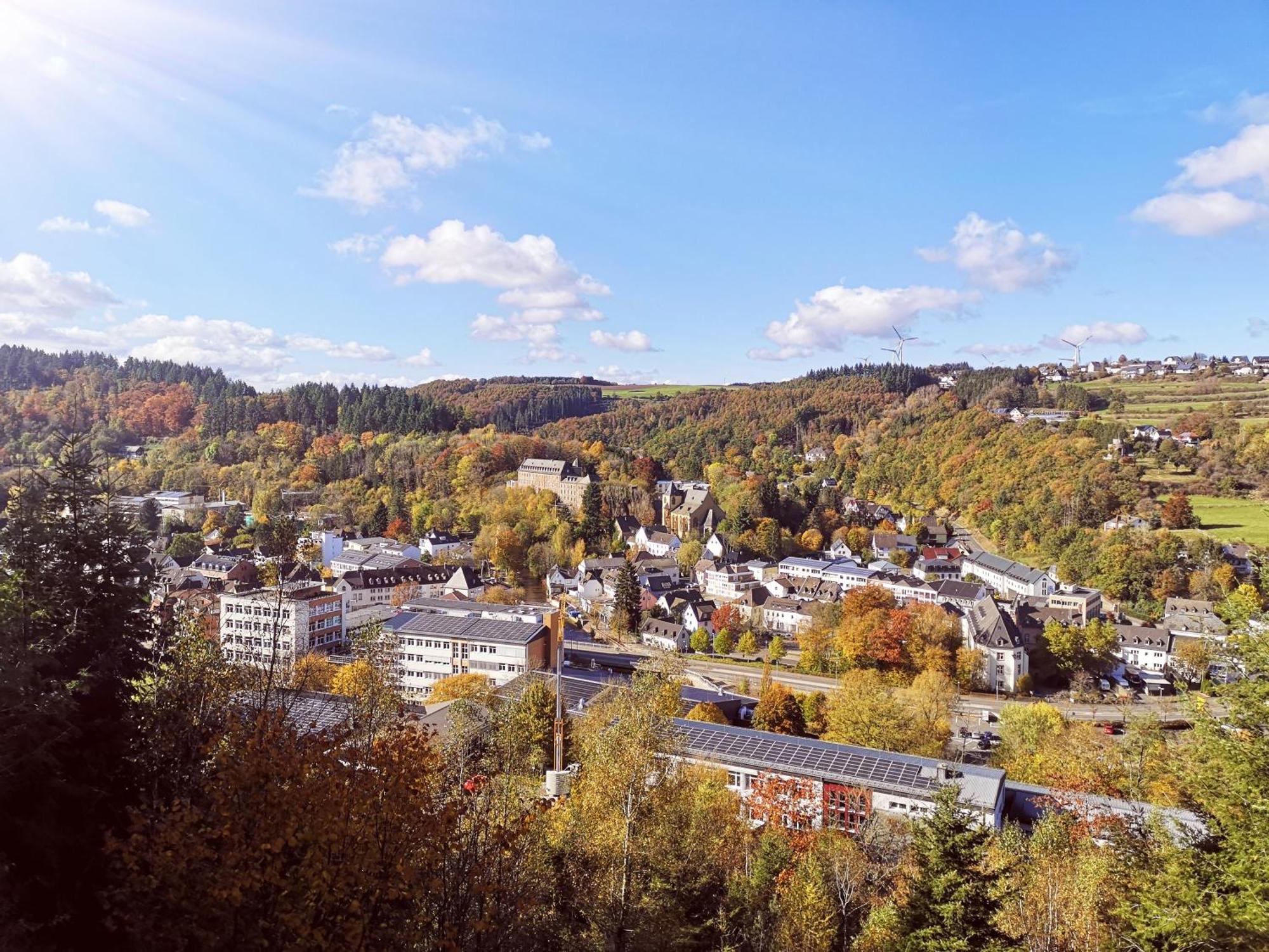 Ferienwohnung In Waldrandlage In Nationalpark Schleiden / Eifel Exterior photo