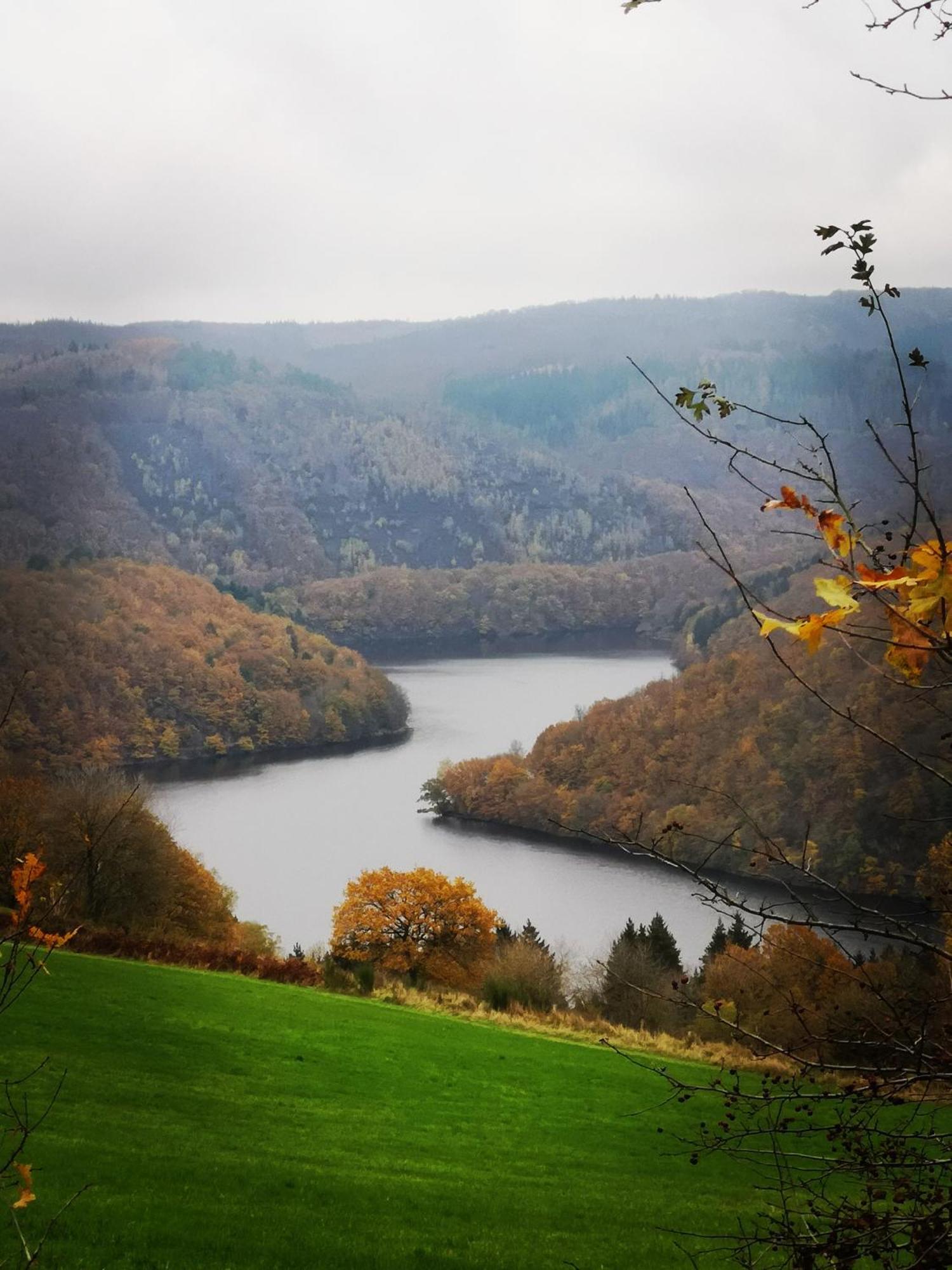 Ferienwohnung In Waldrandlage In Nationalpark Schleiden / Eifel Exterior photo